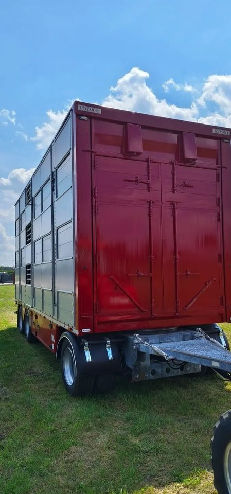 Rơ moóc chở gia súc Pezzaioli RBA 32/TRZYOSIOWA PRZYCZEPA-2XBYDŁO,3X TRZODA/HYDRAULICZNIE PODNOSZONY DACH I PODŁOGI / OŚ ŚRODKOWA PODNOSZONA: hình 7