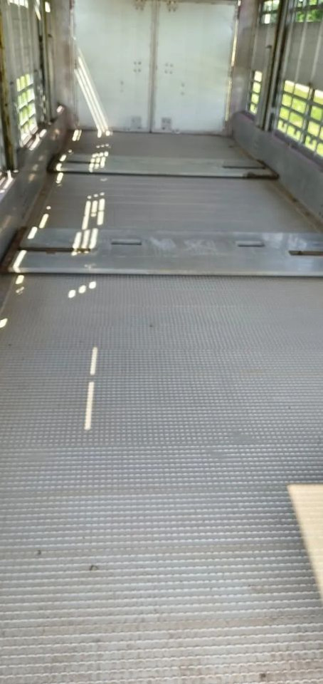 Rơ moóc chở gia súc Pezzaioli RBA 32/TRZYOSIOWA PRZYCZEPA-2XBYDŁO,3X TRZODA/HYDRAULICZNIE PODNOSZONY DACH I PODŁOGI / OŚ ŚRODKOWA PODNOSZONA: hình 14