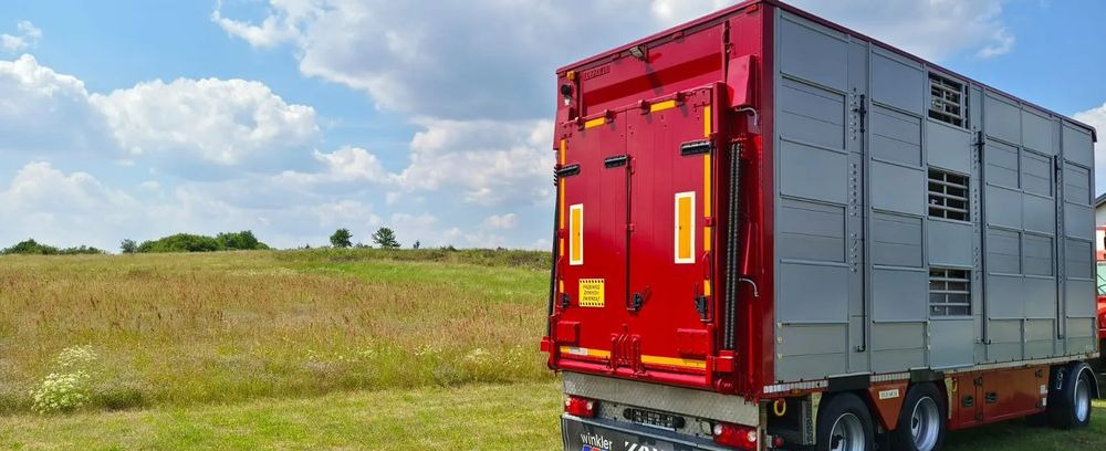 Rơ moóc chở gia súc Pezzaioli RBA 32/TRZYOSIOWA PRZYCZEPA-2XBYDŁO,3X TRZODA/HYDRAULICZNIE PODNOSZONY DACH I PODŁOGI / OŚ ŚRODKOWA PODNOSZONA: hình 12