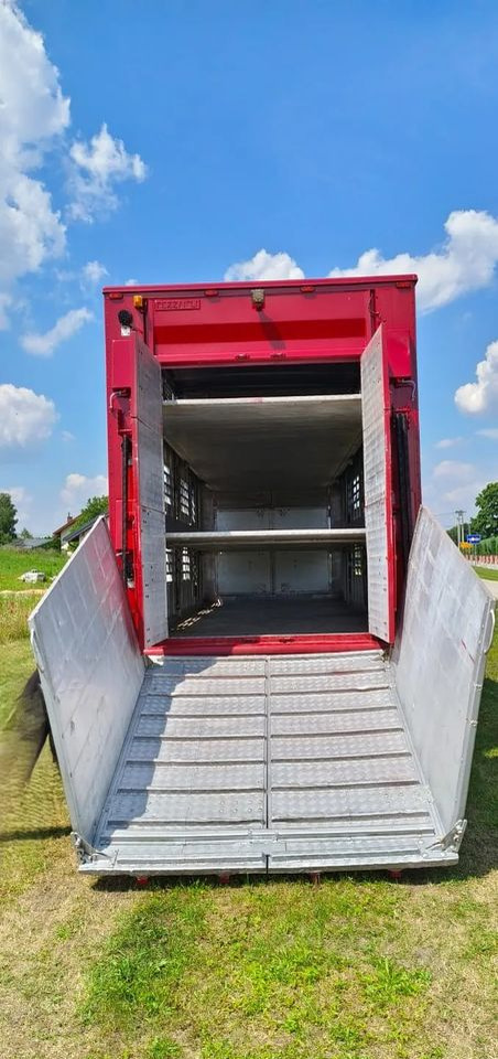 Rơ moóc chở gia súc Pezzaioli RBA 32/TRZYOSIOWA PRZYCZEPA-2XBYDŁO,3X TRZODA/HYDRAULICZNIE PODNOSZONY DACH I PODŁOGI / OŚ ŚRODKOWA PODNOSZONA: hình 8