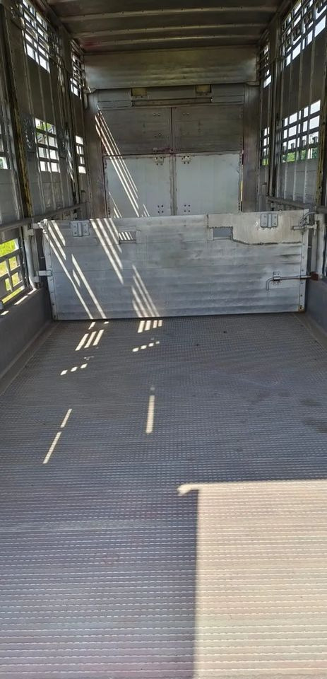 Rơ moóc chở gia súc Pezzaioli RBA 32/TRZYOSIOWA PRZYCZEPA-2XBYDŁO,3X TRZODA/HYDRAULICZNIE PODNOSZONY DACH I PODŁOGI / OŚ ŚRODKOWA PODNOSZONA: hình 15