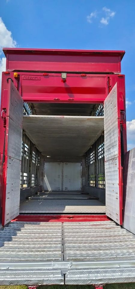 Rơ moóc chở gia súc Pezzaioli RBA 32/TRZYOSIOWA PRZYCZEPA-2XBYDŁO,3X TRZODA/HYDRAULICZNIE PODNOSZONY DACH I PODŁOGI / OŚ ŚRODKOWA PODNOSZONA: hình 10