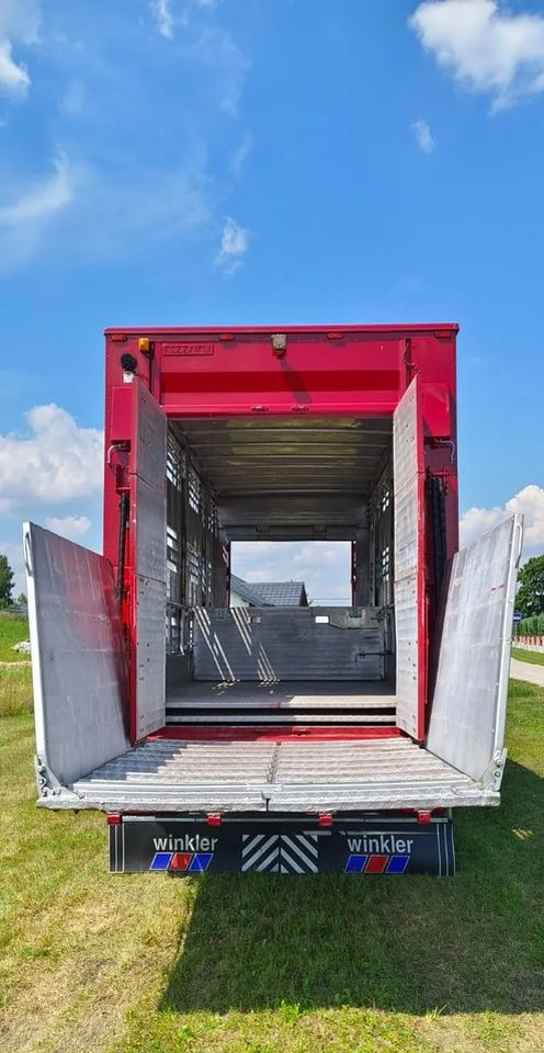 Rơ moóc chở gia súc Pezzaioli RBA 32/TRZYOSIOWA PRZYCZEPA-2XBYDŁO,3X TRZODA/HYDRAULICZNIE PODNOSZONY DACH I PODŁOGI / OŚ ŚRODKOWA PODNOSZONA: hình 18