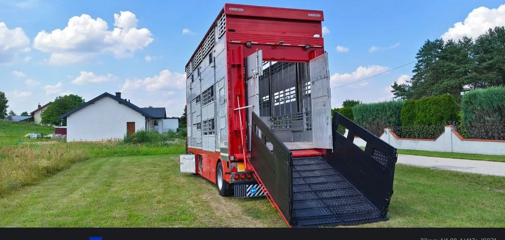 Pezzaioli RBA22 Dwuosiowa Przyczepa – 2x Bydło, 3x Trzoda – 2017r – Bezwypadkowa! - Rơ moóc chở gia súc: hình 1 Pezzaioli RBA22 Dwuosiowa Przyczepa – 2x Bydło, 3x Trzoda – 2017r – Bezwypadkowa! - Rơ moóc chở gia súc: hình 1