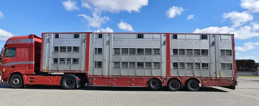 Pezzaioli SBA32/hydrauliczny dach/hydrauliczna rampa/ 3 poziomy/ 2xbydło -3xtrzoda/wentylatory/poidła/sterowanie pilotem - Sơ mi rơ moóc chở gia súc: hình 3 Pezzaioli SBA32/hydrauliczny dach/hydrauliczna rampa/ 3 poziomy/ 2xbydło -3xtrzoda/wentylatory/poidła/sterowanie pilotem - Sơ mi rơ moóc chở gia súc: hình 3
