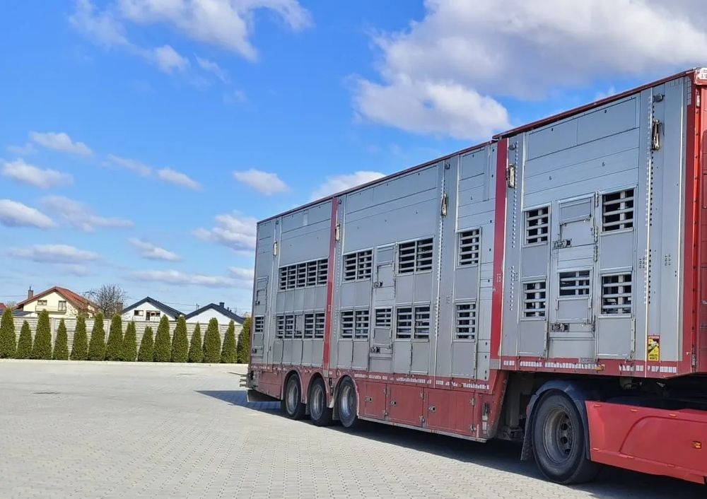 Pezzaioli SBA32/hydrauliczny dach/hydrauliczna rampa/ 3 poziomy/ 2xbydło -3xtrzoda/wentylatory/poidła/sterowanie pilotem - Sơ mi rơ moóc chở gia súc: hình 2 Pezzaioli SBA32/hydrauliczny dach/hydrauliczna rampa/ 3 poziomy/ 2xbydło -3xtrzoda/wentylatory/poidła/sterowanie pilotem - Sơ mi rơ moóc chở gia súc: hình 2