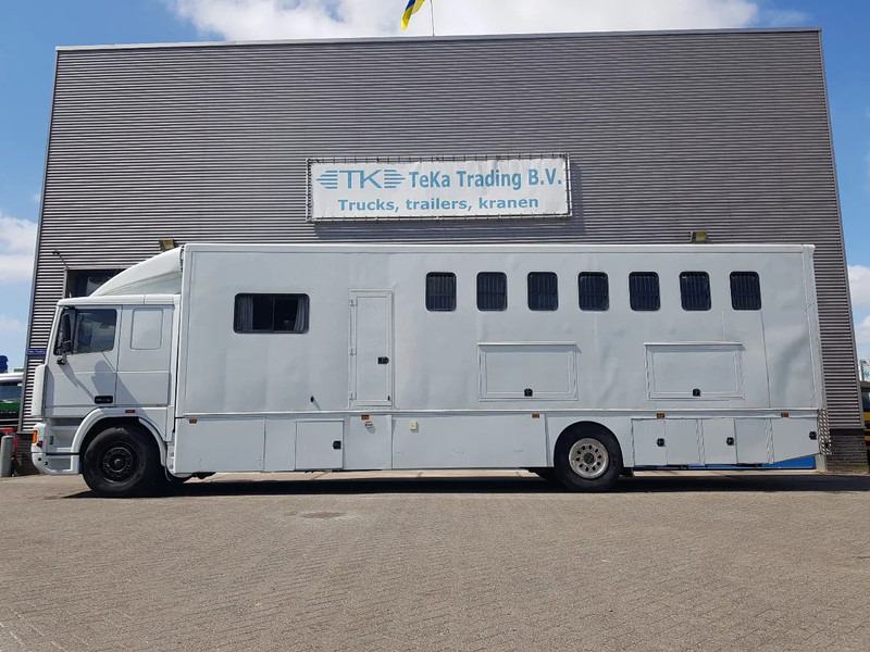 DAF 95.350 Paardenwagen met zitverblijf 7 paarden 7 horses - Xe tải chở ngựa: hình 3 DAF 95.350 Paardenwagen met zitverblijf 7 paarden 7 horses - Xe tải chở ngựa: hình 3