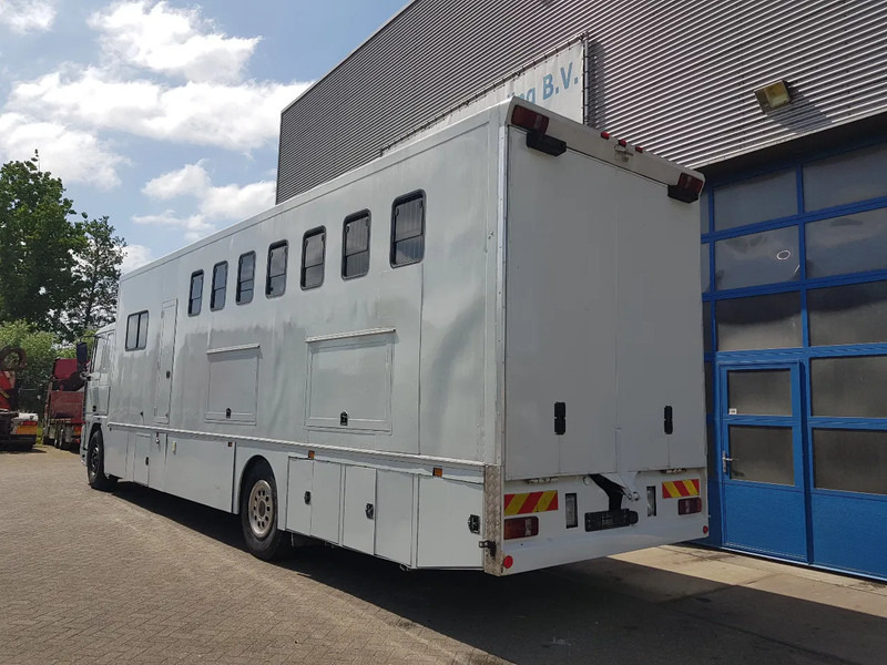 DAF 95.350 Paardenwagen met zitverblijf 7 paarden 7 horses - Xe tải chở ngựa: hình 4 DAF 95.350 Paardenwagen met zitverblijf 7 paarden 7 horses - Xe tải chở ngựa: hình 4