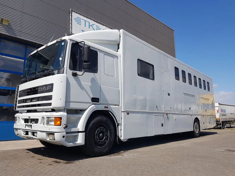 DAF 95.350 Paardenwagen met zitverblijf 7 paarden 7 horses - Xe tải chở ngựa: hình 1 DAF 95.350 Paardenwagen met zitverblijf 7 paarden 7 horses - Xe tải chở ngựa: hình 1