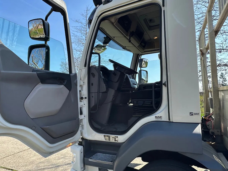 DAF LF 250 / NL TRUCK / EURO6 / LENGTE BAK 950cm / 12T - Xe tải chuyên chở tự động: hình 5 DAF LF 250 / NL TRUCK / EURO6 / LENGTE BAK 950cm / 12T - Xe tải chuyên chở tự động: hình 5