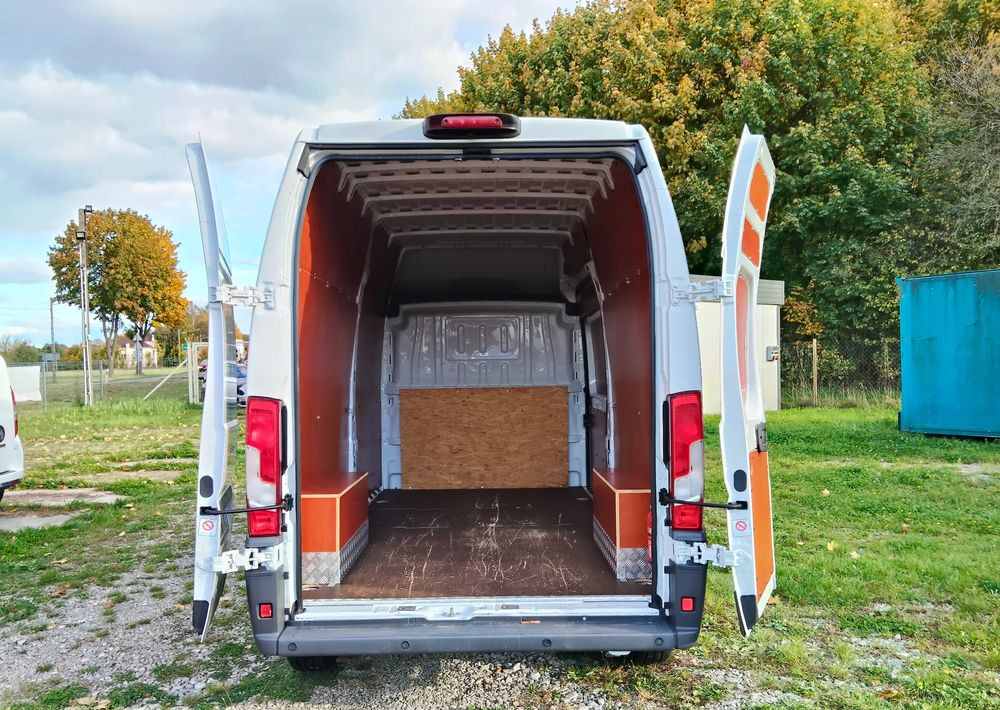 Xe van chở hàng Fiat Ducato: hình 8