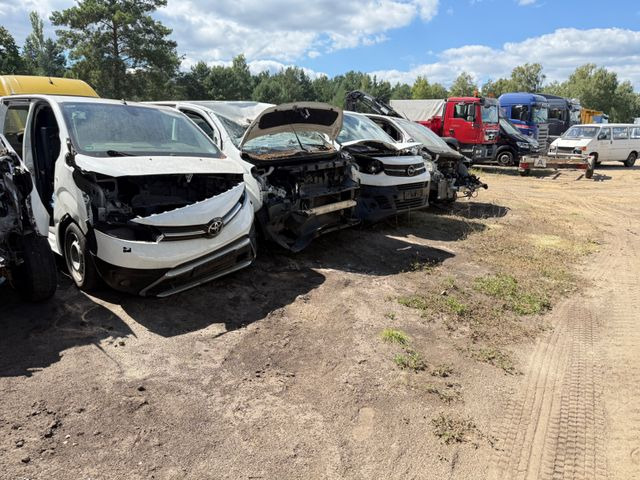 Toyota Proace L1 Kasten Meister ERSATZTEILENSPENDER - Xe van nhỏ gọn: hình 3 Toyota Proace L1 Kasten Meister ERSATZTEILENSPENDER - Xe van nhỏ gọn: hình 3