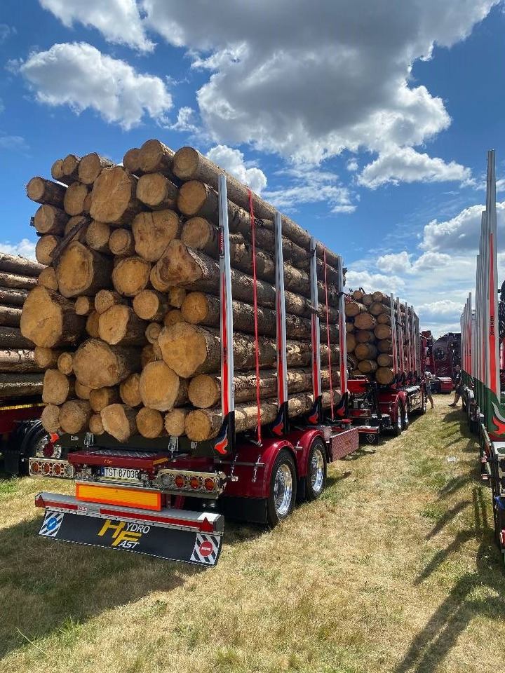 HYDROFAST Tandem log trailer/Tandem-Anhänger/przyczepa leśna tandem - Rơ moóc chở gỗ: hình 4 HYDROFAST Tandem log trailer/Tandem-Anhänger/przyczepa leśna tandem - Rơ moóc chở gỗ: hình 4