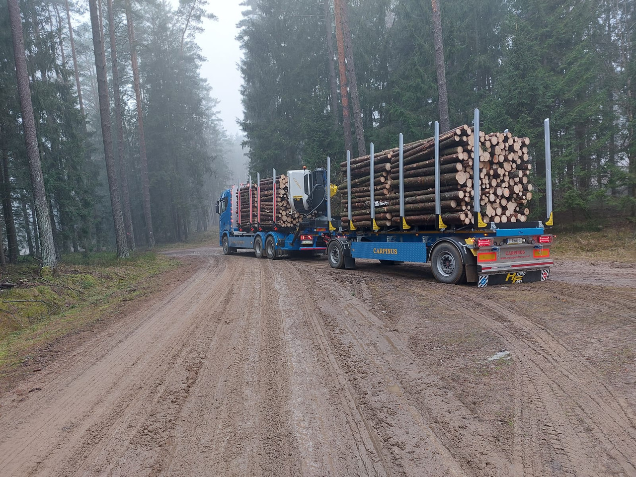 Hydrofast Przyczepa 2 osiowa do drewna stosowego HFP2/2-axle timber trailer HFP2 - Rơ moóc chở gỗ: hình 3 Hydrofast Przyczepa 2 osiowa do drewna stosowego HFP2/2-axle timber trailer HFP2 - Rơ moóc chở gỗ: hình 3