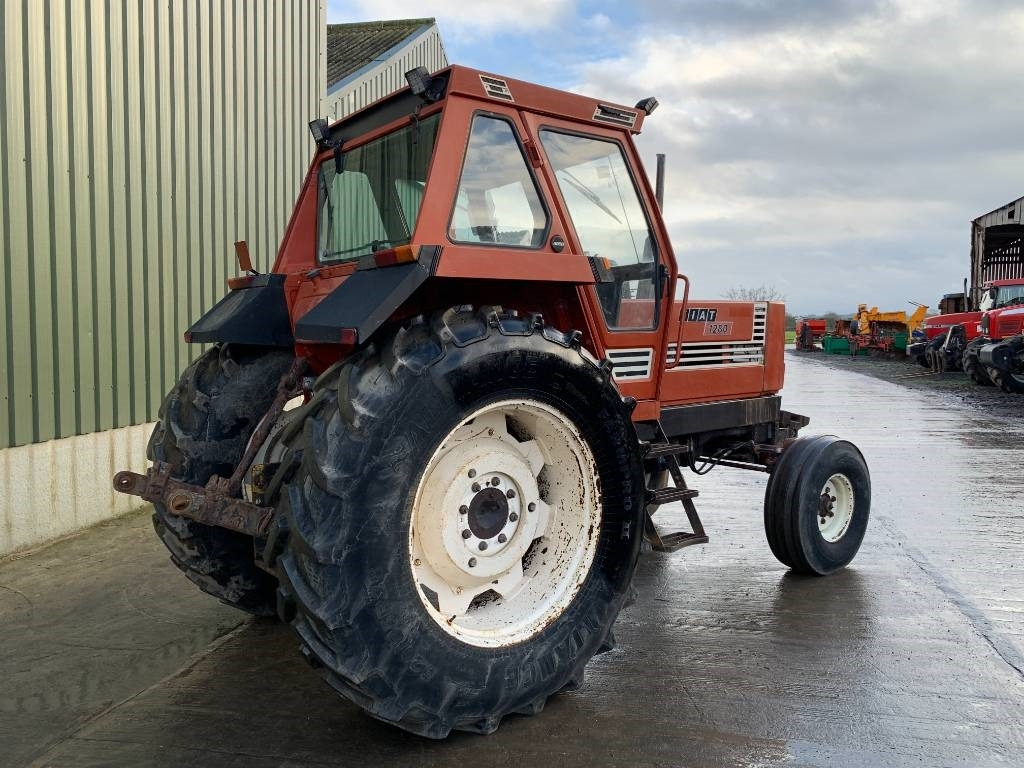 Fiat 1280 Turbo 2WD Tractor - Máy cày: hình 3 Fiat 1280 Turbo 2WD Tractor - Máy cày: hình 3