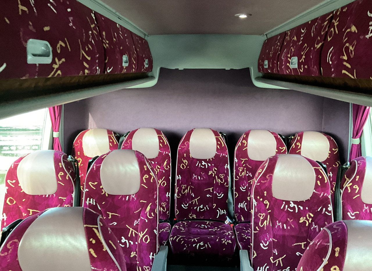 Xe đò Vanhool T 916 Astron: hình 16