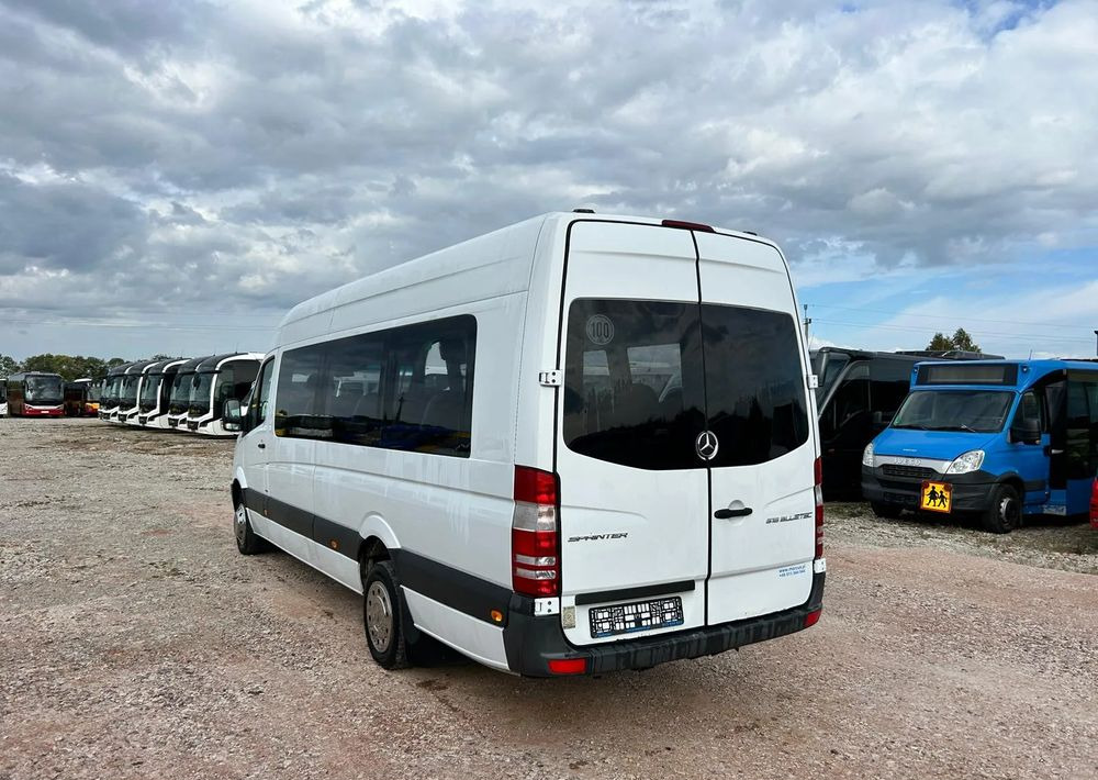 Xe bus mini, Xe van chở khách Mercedes-Benz Sprinter 516: hình 6