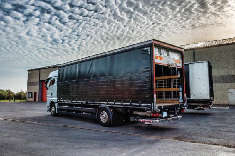 MAN TGX 18.400 XLX+HAYON - Xe tải thùng mui bạt: hình 4 MAN TGX 18.400 XLX+HAYON - Xe tải thùng mui bạt: hình 4