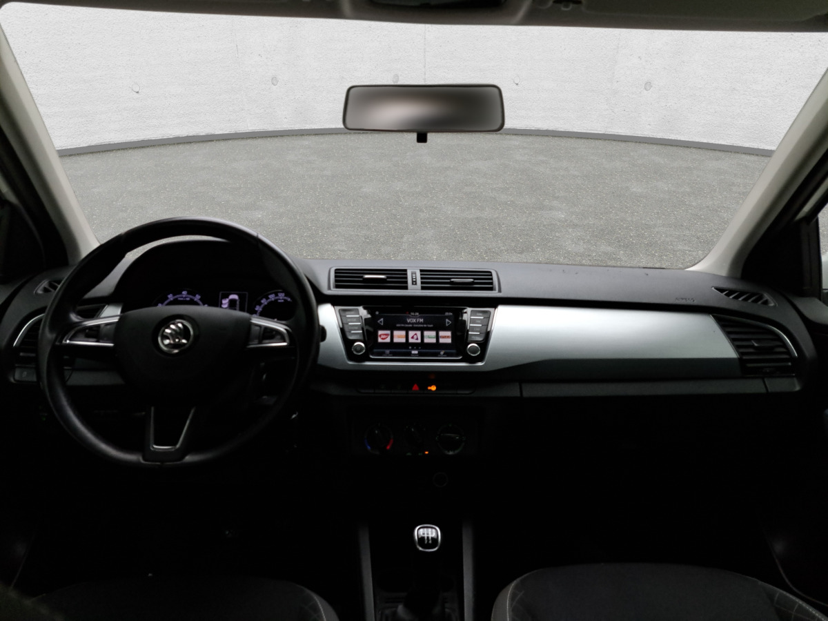 Xe hơi SKODA FABIA KOMBI: hình 10