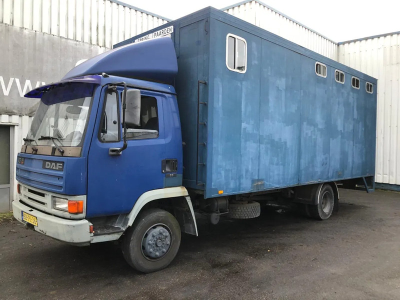 DAF 45 - 150 , Turbo , Horse truck , Spring Suspension - Xe tải hộp: hình 1 DAF 45 - 150 , Turbo , Horse truck , Spring Suspension - Xe tải hộp: hình 1