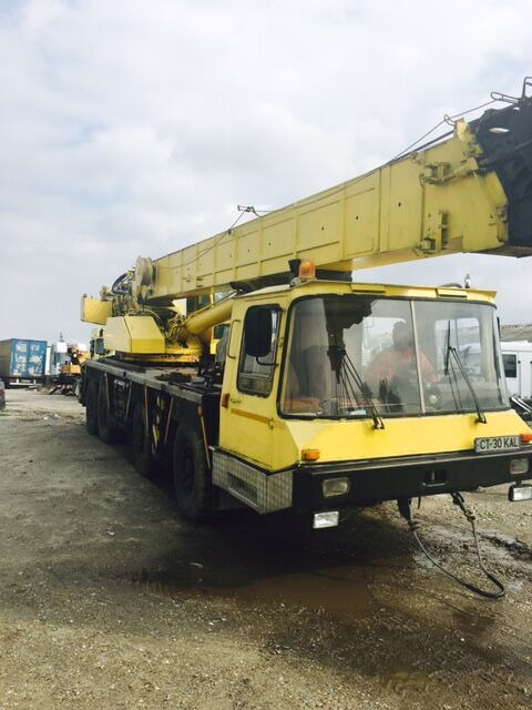 Cẩu bánh lốp Bumar 42 Tons: hình 8