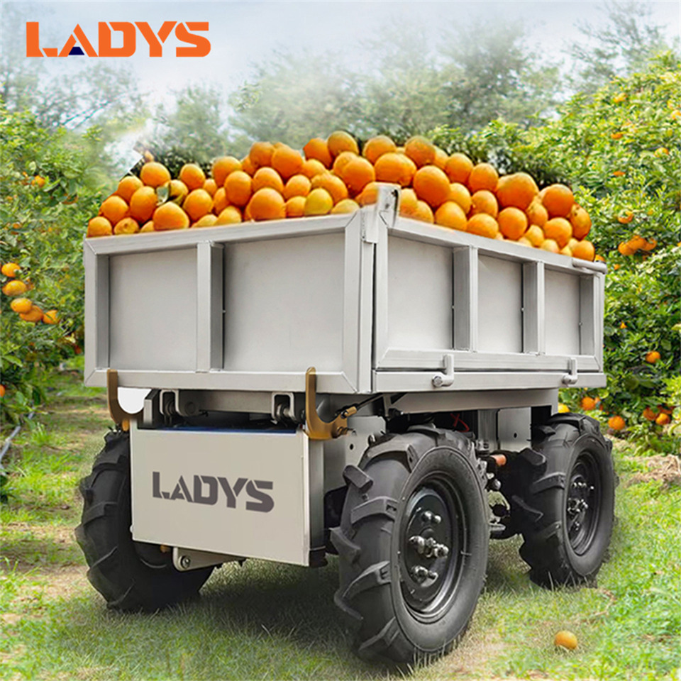 LADYS All-Terrain Four-Wheel Drive And Eight-Wheel Drive Transport Truck, Mountain Area Farm Orchard Greenhouse Construction Site Creeper Remote Control Electric Agricultural Transport Vehicle - ATV/ Xe 4 bánh: hình 1 LADYS All-Terrain Four-Wheel Drive And Eight-Wheel Drive Transport Truck, Mountain Area Farm Orchard Greenhouse Construction Site Creeper Remote Control Electric Agricultural Transport Vehicle - ATV/ Xe 4 bánh: hình 1