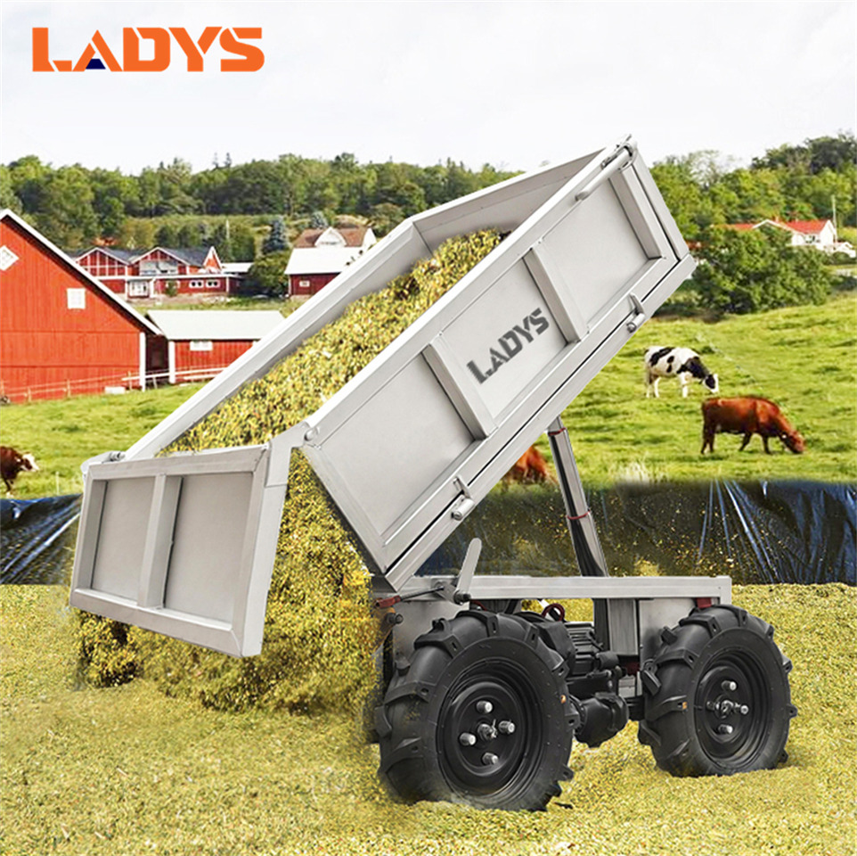 LADYS All-Terrain Four-Wheel Drive And Eight-Wheel Drive Transport Truck, Mountain Area Farm Orchard Greenhouse Construction Site Creeper Remote Control Electric Agricultural Transport Vehicle - ATV/ Xe 4 bánh: hình 4 LADYS All-Terrain Four-Wheel Drive And Eight-Wheel Drive Transport Truck, Mountain Area Farm Orchard Greenhouse Construction Site Creeper Remote Control Electric Agricultural Transport Vehicle - ATV/ Xe 4 bánh: hình 4