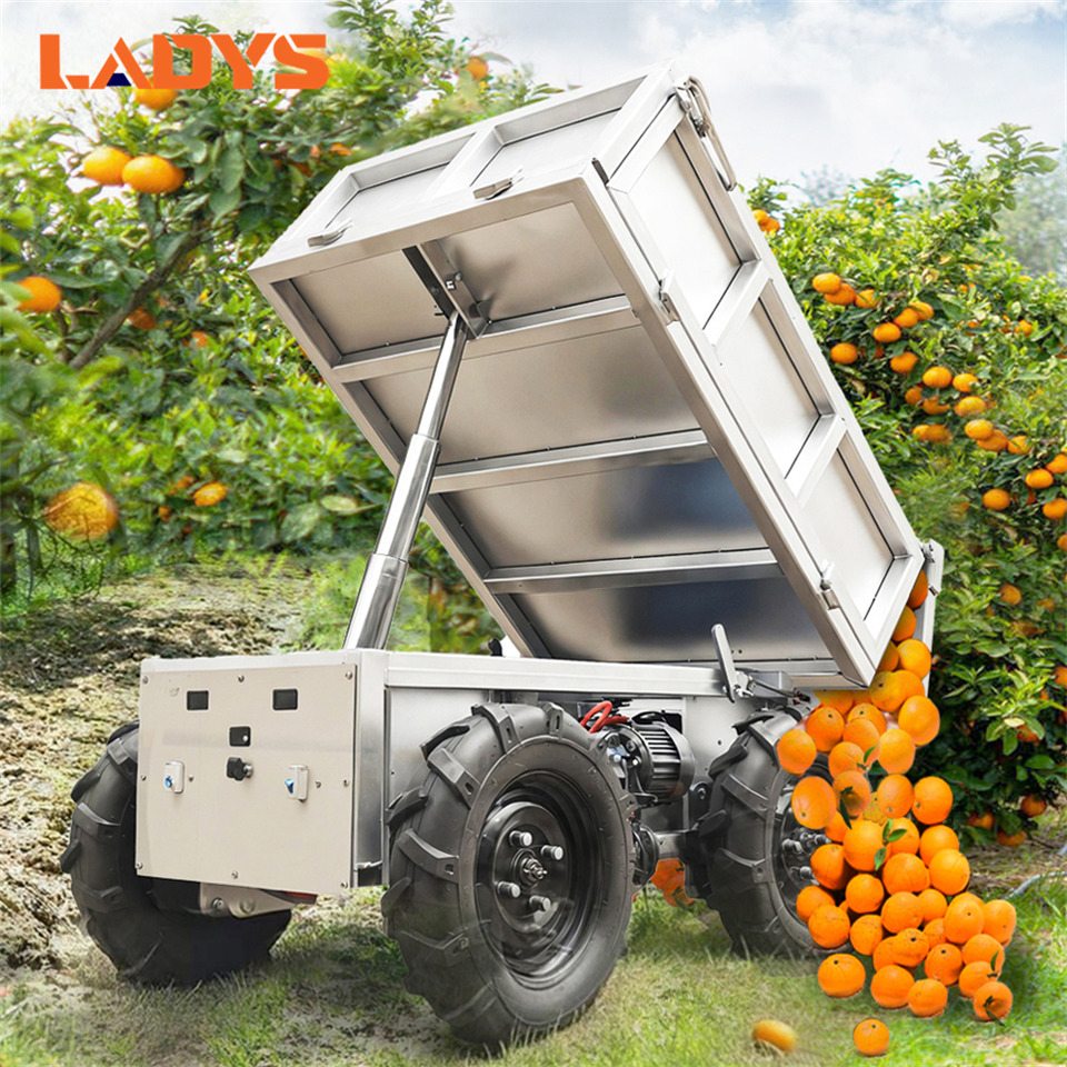 LADYS All-Terrain Four-Wheel Drive And Eight-Wheel Drive Transport Truck, Mountain Area Farm Orchard Greenhouse Construction Site Creeper Remote Control Electric Agricultural Transport Vehicle - ATV/ Xe 4 bánh: hình 2 LADYS All-Terrain Four-Wheel Drive And Eight-Wheel Drive Transport Truck, Mountain Area Farm Orchard Greenhouse Construction Site Creeper Remote Control Electric Agricultural Transport Vehicle - ATV/ Xe 4 bánh: hình 2