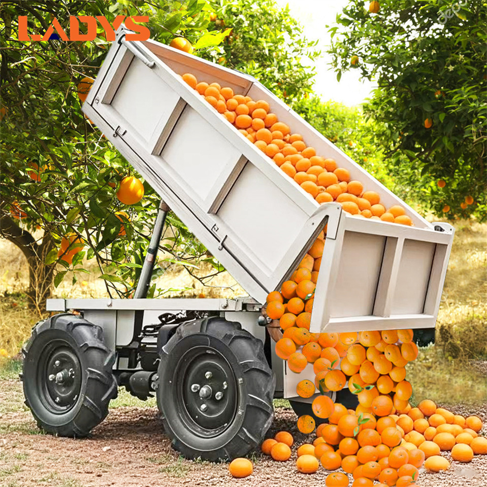 LADYS D-600 All-Terrain Four-Wheel Drive And Eight-Wheel Drive Transport Truck, Mountain Area Farm Orchard Greenhouse Construction Site Creeper Remote Control Electric Agricultural Transport Vehicle - ATV/ Xe 4 bánh: hình 1 LADYS D-600 All-Terrain Four-Wheel Drive And Eight-Wheel Drive Transport Truck, Mountain Area Farm Orchard Greenhouse Construction Site Creeper Remote Control Electric Agricultural Transport Vehicle - ATV/ Xe 4 bánh: hình 1