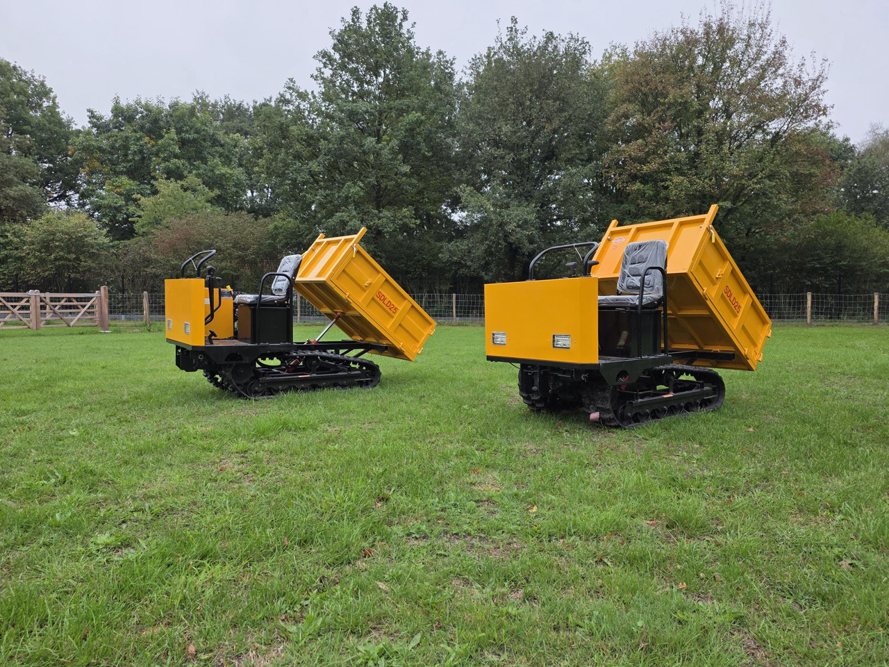 Sdlool sdld 25 mini dumper - Xe ben đổ: hình 1 Sdlool sdld 25 mini dumper - Xe ben đổ: hình 1
