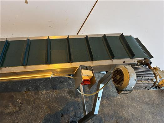 NNP Flighted elevator conveyor - Băng tải: hình 4 NNP Flighted elevator conveyor - Băng tải: hình 4