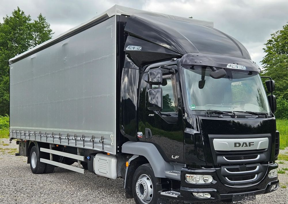 DAF LF 290/WINDA/16TON DMC/FIRANKA/AUTOMAT/16TON DMC/JEDEN WŁAŚCICIE/EURO 6/2019/SPROWADZONY/20PALET/NISKI PRZEBIEG/DUŻA ŁADOWNOŚĆ/JAK NOWY - Xe tải thùng mui bạt: hình 2 DAF LF 290/WINDA/16TON DMC/FIRANKA/AUTOMAT/16TON DMC/JEDEN WŁAŚCICIE/EURO 6/2019/SPROWADZONY/20PALET/NISKI PRZEBIEG/DUŻA ŁADOWNOŚĆ/JAK NOWY - Xe tải thùng mui bạt: hình 2