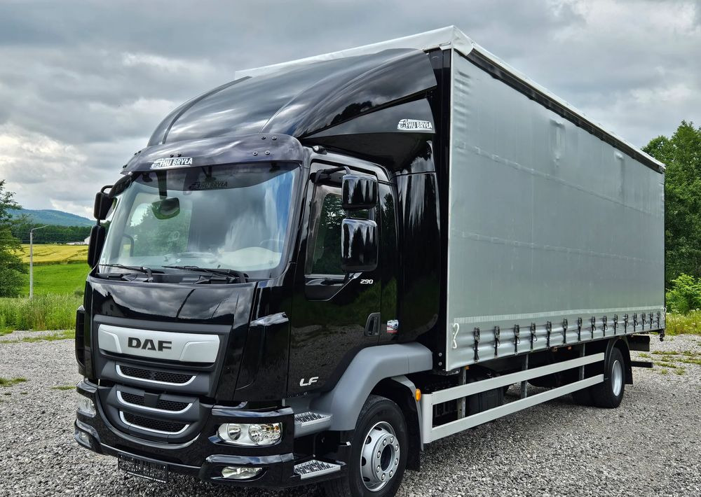 DAF LF 290/WINDA/16TON DMC/FIRANKA/AUTOMAT/16TON DMC/JEDEN WŁAŚCICIE/EURO 6/2019/SPROWADZONY/20PALET/NISKI PRZEBIEG/DUŻA ŁADOWNOŚĆ/JAK NOWY - Xe tải thùng mui bạt: hình 1 DAF LF 290/WINDA/16TON DMC/FIRANKA/AUTOMAT/16TON DMC/JEDEN WŁAŚCICIE/EURO 6/2019/SPROWADZONY/20PALET/NISKI PRZEBIEG/DUŻA ŁADOWNOŚĆ/JAK NOWY - Xe tải thùng mui bạt: hình 1