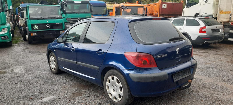 Peugeot 307 Grand Filou - Hatchback: hình 1 Peugeot 307 Grand Filou - Hatchback: hình 1