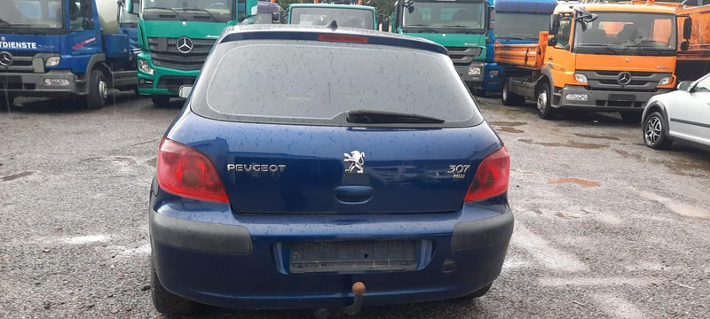 Peugeot 307 Grand Filou - Hatchback: hình 4 Peugeot 307 Grand Filou - Hatchback: hình 4