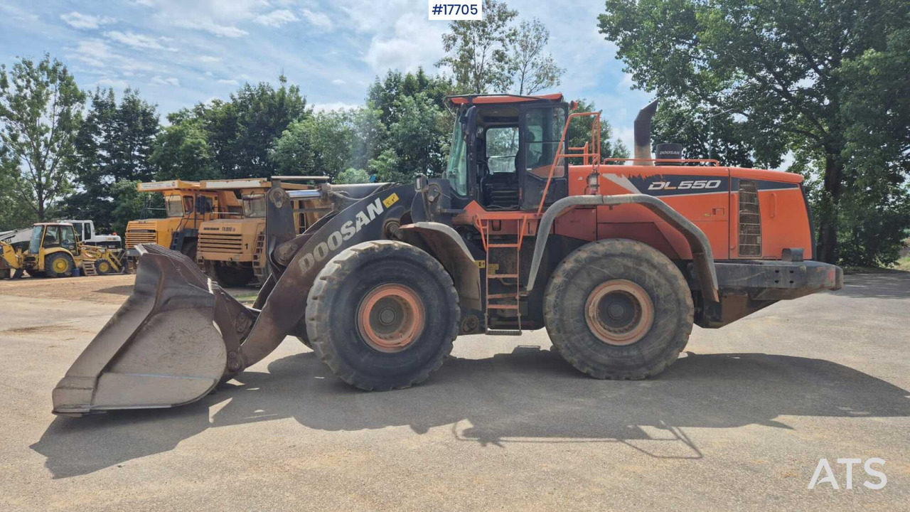 2019 Doosan DL550-5 - Máy xúc lật bánh lốp: hình 1 2019 Doosan DL550-5 - Máy xúc lật bánh lốp: hình 1