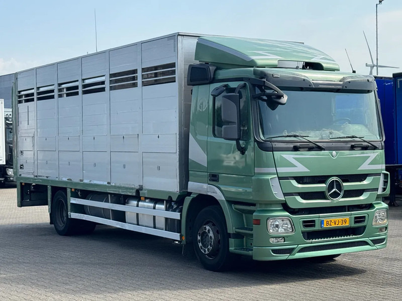 Mercedes-Benz Actros 1832 L 1 - 2 Stock Animal Transport - Xe tải chở gia súc: hình 2 Mercedes-Benz Actros 1832 L 1 - 2 Stock Animal Transport - Xe tải chở gia súc: hình 2