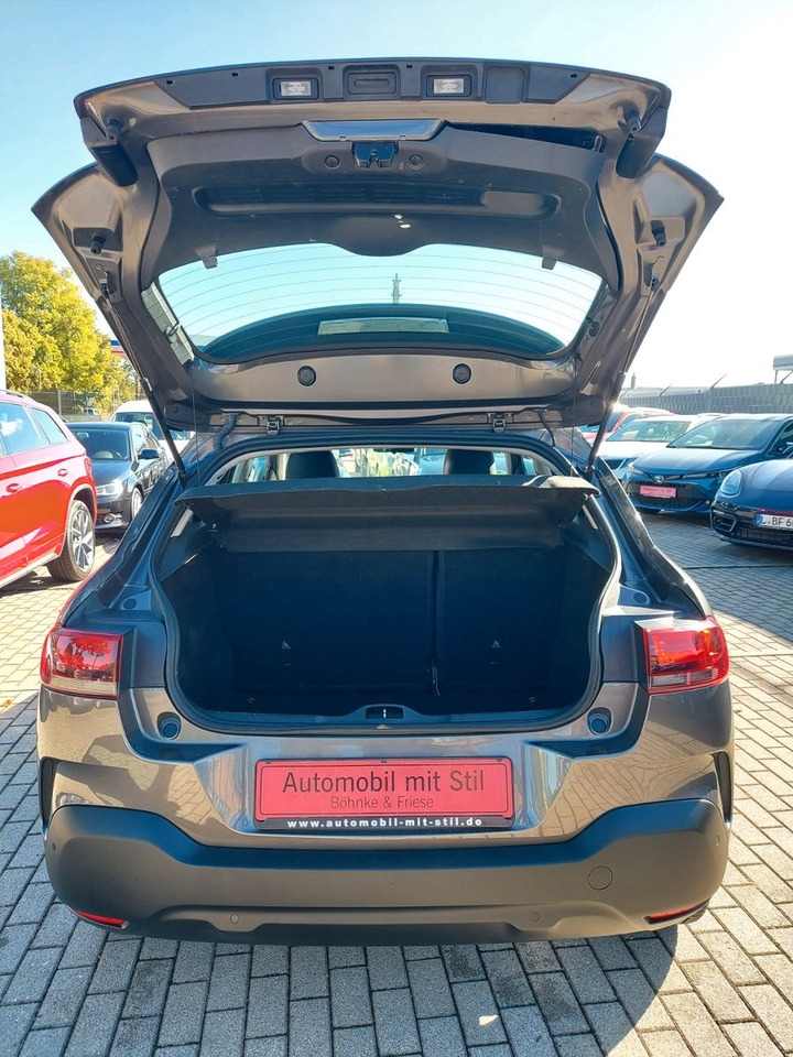Sedan Citroën C4 Cactus Feel DAB Klima Sitzheizung PDC: hình 21
