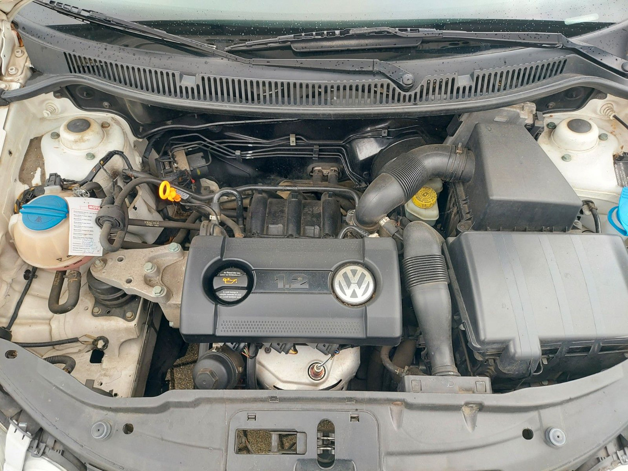 Xe hơi Volkswagen Polo IV Basis Klima ohnee TÜV: hình 24