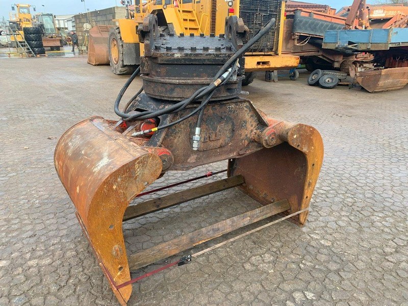 Verachtert VRG30-2 - Nho táo: hình 2 Verachtert VRG30-2 - Nho táo: hình 2