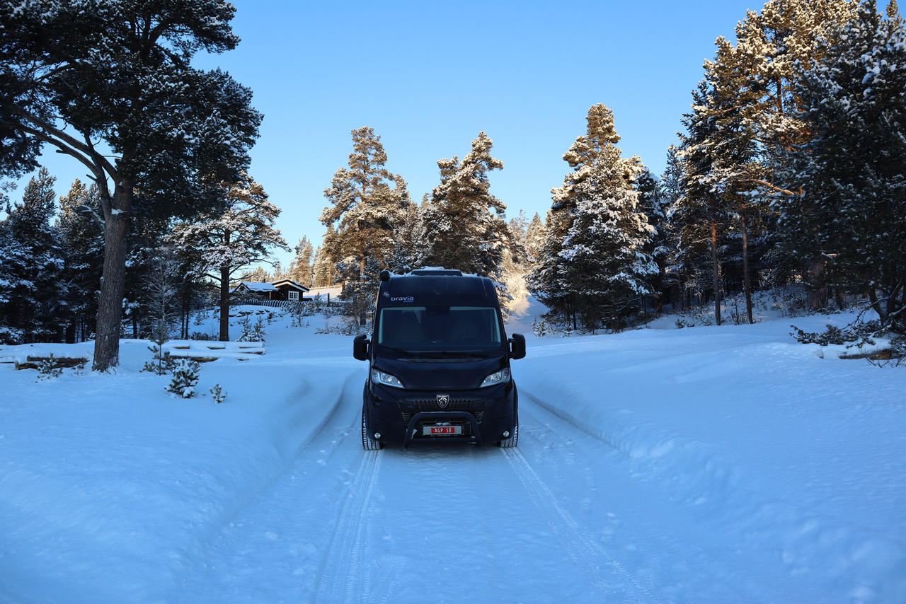 Bravia Swan 599 Nordic - Xe van cắm trại: hình 3 Bravia Swan 599 Nordic - Xe van cắm trại: hình 3