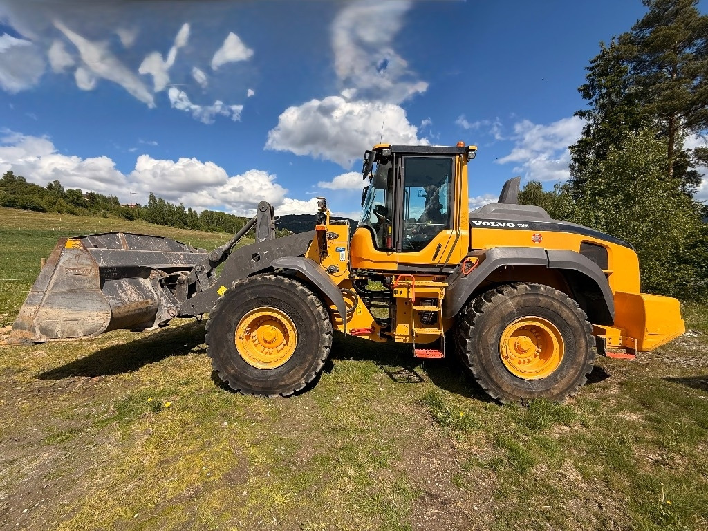 Volvo L 110 H - Máy xúc lật bánh lốp: hình 2 Volvo L 110 H - Máy xúc lật bánh lốp: hình 2