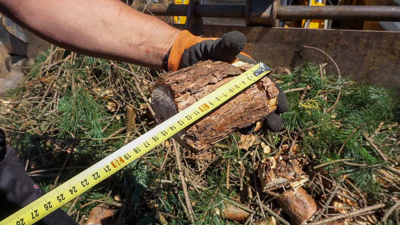 Máy đốn cây mới REMET R120: hình 7 Máy đốn cây mới REMET R120: hình 7