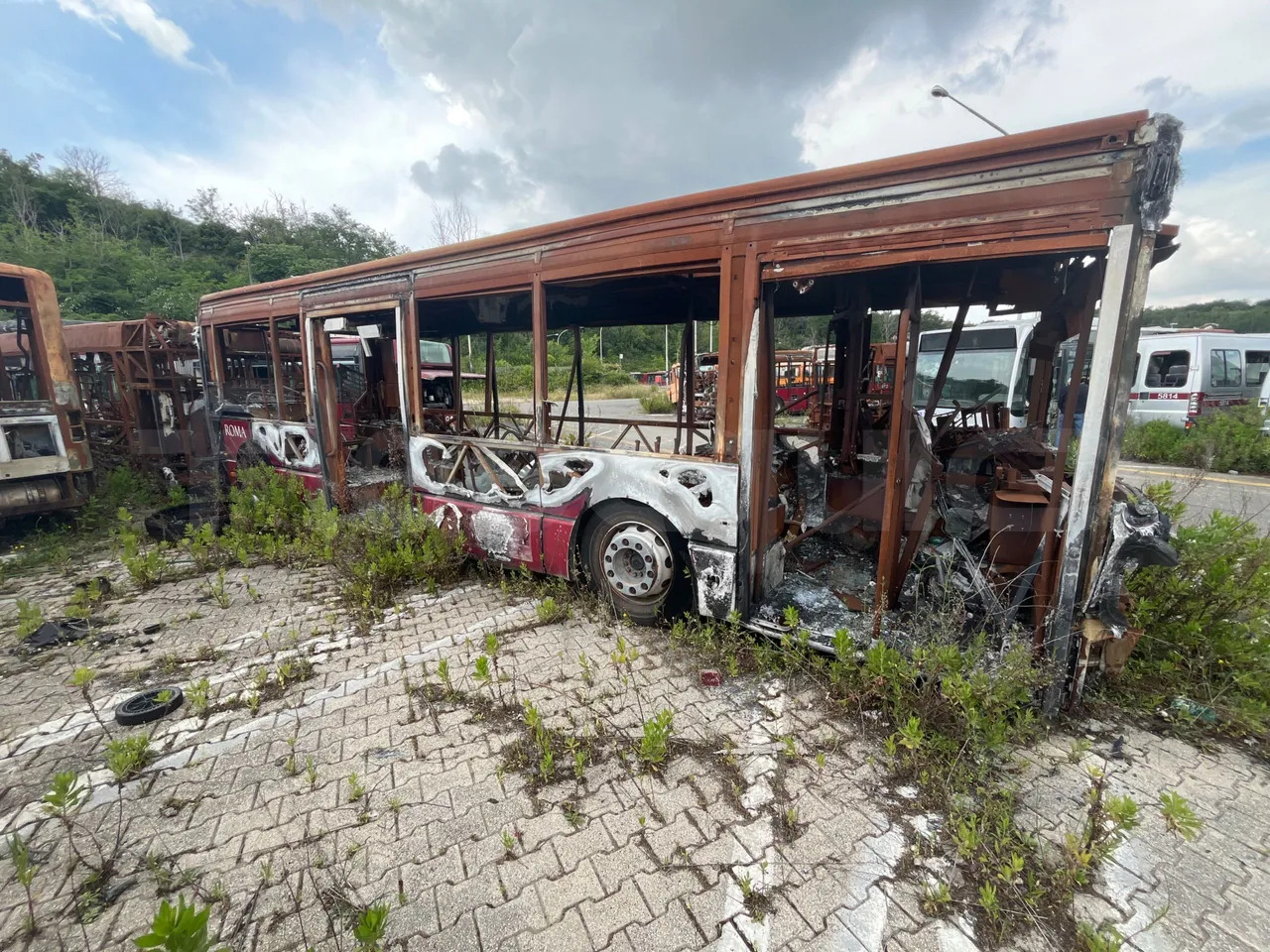 Bundle di 7 mezzi Iveco - Citelis Iveco - Citelis Iveco - Citelis Iveco - Citelis Iveco - Citelis Iveco - Citelis Iveco - Citelis - Xe bus đô thị: hình 3 Bundle di 7 mezzi Iveco - Citelis Iveco - Citelis Iveco - Citelis Iveco - Citelis Iveco - Citelis Iveco - Citelis Iveco - Citelis - Xe bus đô thị: hình 3