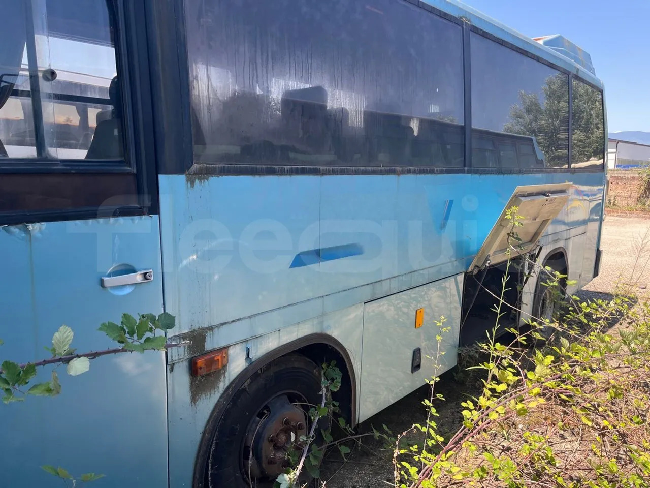 Iveco 315.8.17 - Menarini - Xe đò: hình 2 Iveco 315.8.17 - Menarini - Xe đò: hình 2