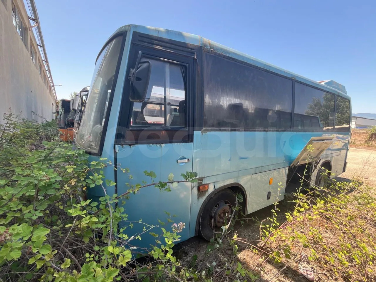 Iveco 315.8.17 - Menarini - Xe đò: hình 1 Iveco 315.8.17 - Menarini - Xe đò: hình 1
