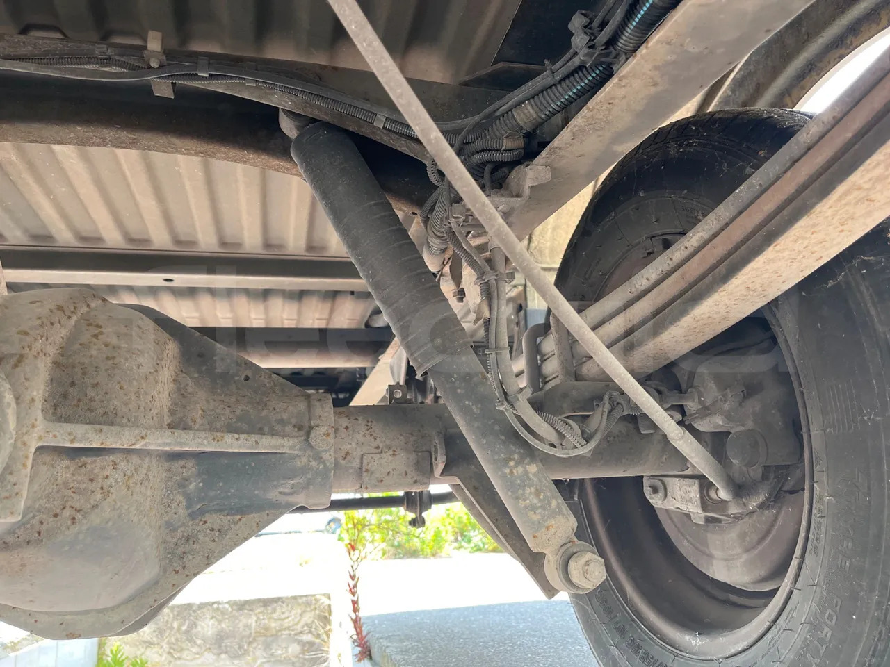 Xe buýt trường học Iveco Daily: hình 48