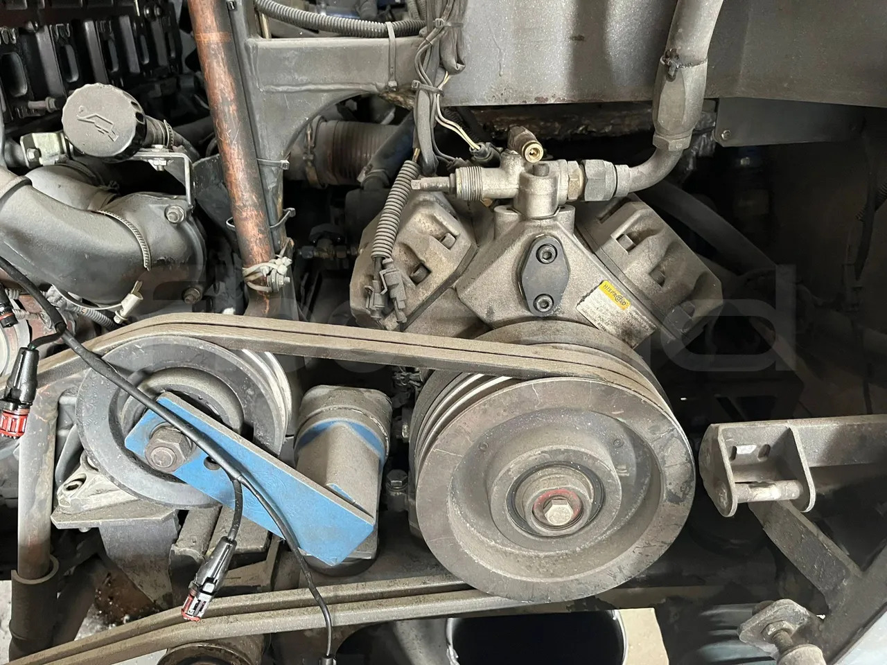 Iveco Noge-Touring - Xe đò: hình 4 Iveco Noge-Touring - Xe đò: hình 4