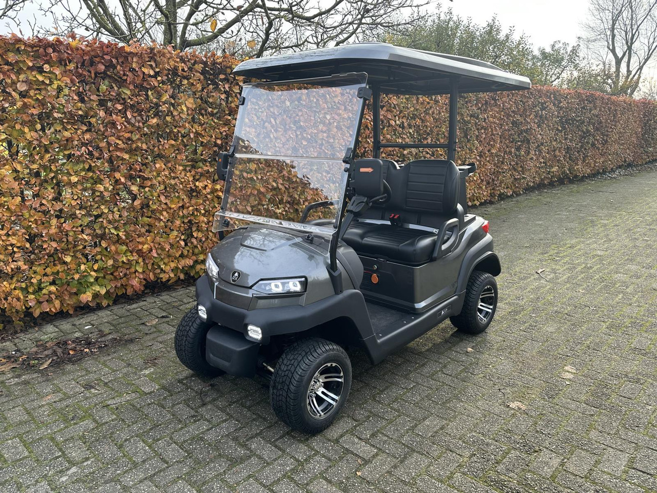 OX ZG2 2-zit Golfkar Grijs (Demo) - Xe golf: hình 1 OX ZG2 2-zit Golfkar Grijs (Demo) - Xe golf: hình 1