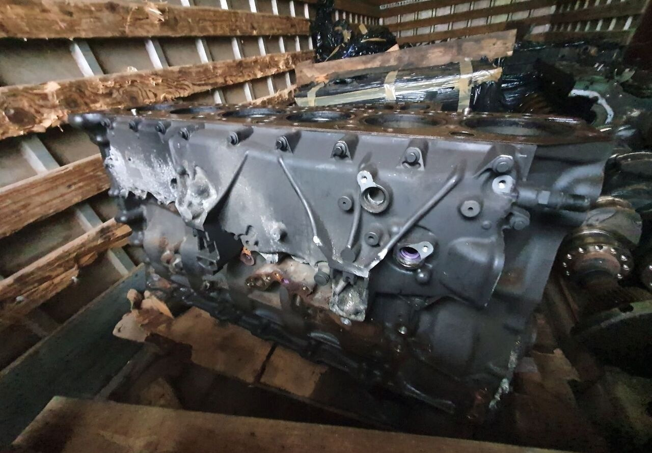 RENAULT BLOK SILNIKA SŁUPEK TŁOKI WAŁ RENAULT GAMA RANGE T DTI11 460 430 - Khối xi lanh cho Xe tải: hình 1 RENAULT BLOK SILNIKA SŁUPEK TŁOKI WAŁ RENAULT GAMA RANGE T DTI11 460 430 - Khối xi lanh cho Xe tải: hình 1